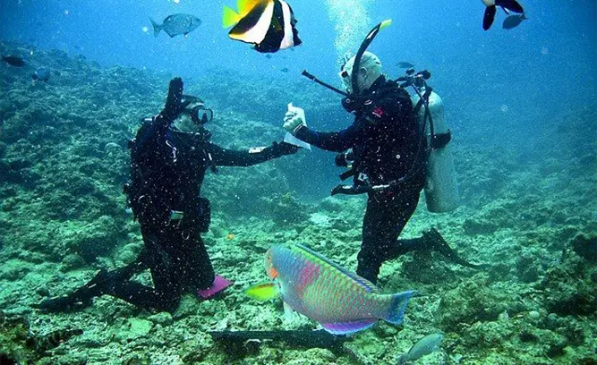 Hall’s Diving Center