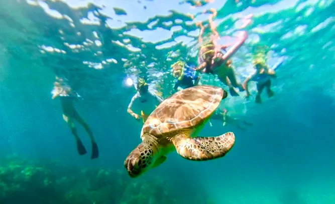 Family Fun Boat Tours